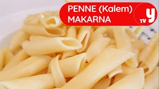 Penne Kalem Makarna Tarifi Nasıl Yapılır [upl. by Zorah]