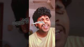 නොහිතුනාට🤎 cover song covermusic srilanka [upl. by Gewirtz]