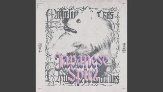 Japanese Spitz [upl. by Easlehc]