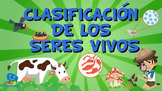 LA CLASIFICACIÓN DE LOS SERES VIVOS Vídeos Educativos para Niños [upl. by Llerahs693]