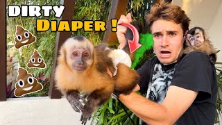 CHANGING My MONKEYS DIAPER  What’s Inside [upl. by Arriat]