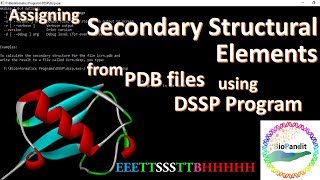 Assigning secondary structural elements from PDB files using DSSP [upl. by Ellemrac]