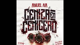 Anuel Ceniza en el cenicero [upl. by Ramu]