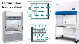 laminar flow hood how to transfer sample inside the hood genetics cytogenetics [upl. by Millburn458]