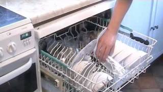 Salmon in a Dishwasher [upl. by Knepper522]