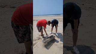 Coisas bizarras que achei na praia com uma peneira gigante [upl. by Feinberg685]