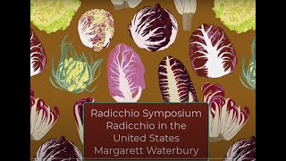 History of Radicchio in the US [upl. by Ardnahs297]