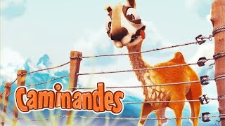 Caminandes 2 Gran Dillama  Animation Short Film for Children [upl. by Francis164]