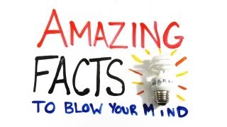 Amazing Facts to Blow Your Mind Pt 1 [upl. by Xonel535]