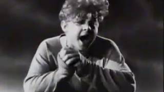 milltown brothers  Which Way Should I Jump Official Video  1991 [upl. by Lemraj475]