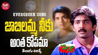 Jabilamma Neeku Anta Kopama Song Telugu Lyrics  Pelli Movie  Naveen Maheswari Maa Paata Mee Nota [upl. by Hadley]