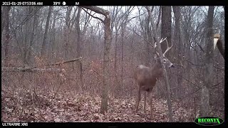 One Easy Trick for Deer Hunting Success [upl. by Relyuc]