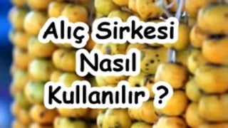 Alıç Sirkesi Nasıl Kullanılır [upl. by Hcib]