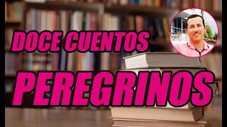 DOCE CUENTOS PEREGRINOS DESCRIPCIÓN COMPLETA DE ESTA EXCELENTE COMPILACIÓN  WILSON TE EDUCA [upl. by Naneik]