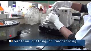 Stage 2   Basic Histology Process  Tissue Processing Steps for FFPE Samples [upl. by Lsil879]