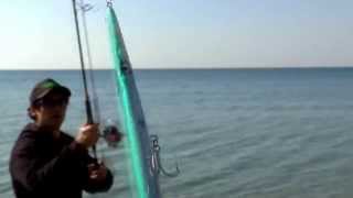 Jack Fin  quotSTYLO 210quot action video [upl. by Mcnalley]