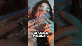 ASMR SPOOLIE NIBBLING asmr shorts [upl. by Reta]