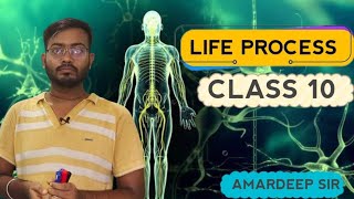 Life process ll class 10 Biology ll Part 02 [upl. by Fira]