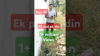 Day 30  chhoti shuruwat bada Parivartan ❣️gaushala trees tree plants plantation plants vlog [upl. by Annairt]