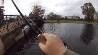 Urban Trout Fishing  Syon Park Isleworth London [upl. by Leaffar766]