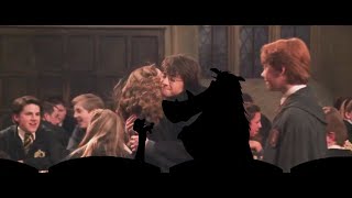 Timon and Pumbaa Interrupt 8 Harry Potter and the Chamber of Secrets [upl. by Nosyt]