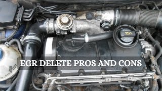 EGR Delete Explained  9 Major Pros And Cons [upl. by Stoller]