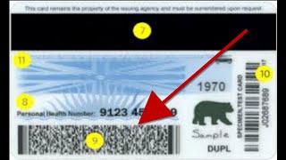 How We PROPERLY Encode PDF 417 Barcodes for Age Verification [upl. by Pitt]