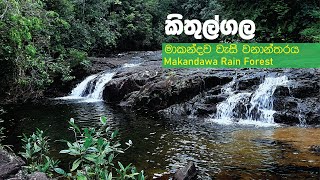 Makandawa Rain Forest  Kitulgala  Sri Lanka  Travel Vlog 6 [upl. by Fleisher]