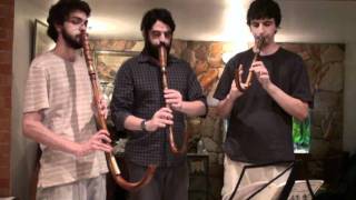 16th Century music on crumhorns  Susato  Crumhorn Trio  Die vier Branlen [upl. by Janelle]