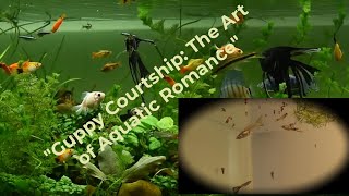 quotGuppy Courtship The Art of Aquatic Romancequot [upl. by Myriam832]