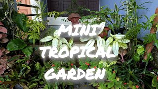 CREATING A TROPICAL GARDEN🍀🌿 garden gardening [upl. by Ramled]