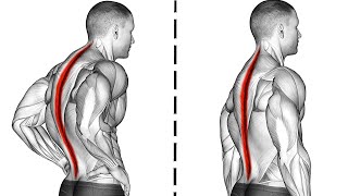 14 Morning Exercises To Correct Posture [upl. by Otreblasiul]