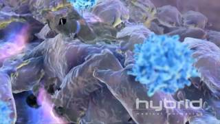 Immunemediated Tumor Destruction HD [upl. by Nahgiem]