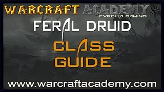 54 Feral Druid DPS Guide  Warcraft Academy [upl. by Akirderf]