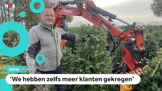 Duizenden vernielde kerstbomen toch verkocht [upl. by Berhley64]