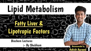 Fatty Liver amp Lipotropic Factors  Lipid Metabolism  Biochemistry Lectures [upl. by Htebazileharas]