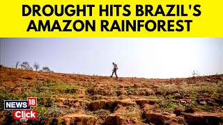 Brazil Drought 2023  Amazon Region Hit By A Severe Drought In Brazil  English News  News18  N18V [upl. by Elesig948]