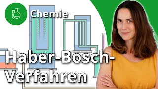 Das HaberBoschVerfahren so funktionierts – Chemie  Duden Learnattack [upl. by Gabrila982]