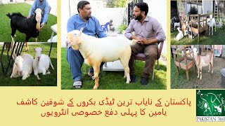 Pakistans most beautiful Goats  KK goat farm  Teedi Breed [upl. by Allebara]