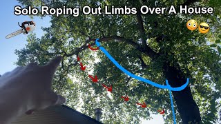 Solo Rigging Tree Work [upl. by Bedell]