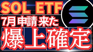 【SOLANA ETFが7月に来て爆上げ！？】BLACK ROCKが動いた！SOLANAの今後の値動き全て教えます！ [upl. by Hillell]