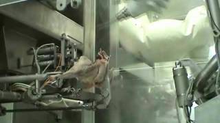 NZ designed butchering robot  Scott Technology [upl. by Haya]