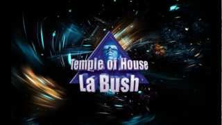 la bush temple of house  Game over  I Gotta Get You Tremplin Remix [upl. by Valorie]