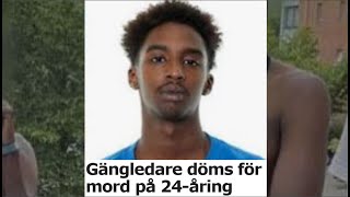 Rättegången med Mohamed Shire Nätverk D [upl. by Brook]