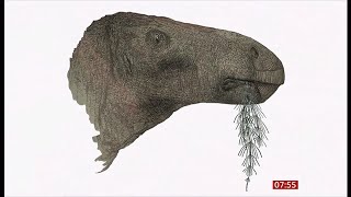 New dinosaur species discovered in the Isle of Wight UKGlobal 10July2024 [upl. by Anoj]