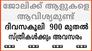 2024 Kerala Job vacancylatest job vacancy in keralakerala job vacancy todayjob vacancy 2024 job [upl. by Aleac]