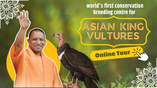 worlds first conservation and breeding centre for Asian king vultures in UP  RED HEADED VULTURE [upl. by Zaid]