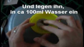 Tutorial Pflanze Toppen und zum Steckling machen [upl. by Wheelwright]