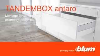 Blum TANDEMBOX Antaro  Design Element Assembly Video [upl. by Euqinomahs825]