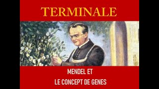 Mendel et le concept de gène [upl. by Garvey]